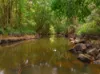1896 Noosa Road, Traveston, Qld 4570-Image