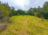 1896 Noosa Road, Traveston, Qld 4570-Image