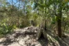 19-25 Lynette Court, Buccan, Qld 4207-Image