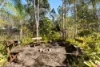 19-25 Lynette Court, Buccan, Qld 4207-Image