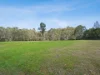 19 Ben Lomond Road, Minto, NSW 2566-Image