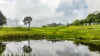 19 Middleton Road, Witta, Qld 4552-Image