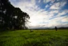 19 Middleton Road, Witta, Qld 4552-Image