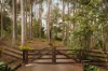19 Repton Street, Pullenvale, Qld 4069-Image
