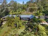19 Wattlebird Court, Currumbin Valley, Qld 4223-Image