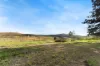 19 Wood Street, Mount Chalmers, Qld 4702-Image