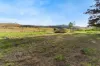 19 Wood Street, Mount Chalmers, Qld 4702-Image