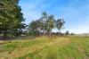 19 Wood Street, Mount Chalmers, Qld 4702-Image