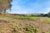 19 Wood Street, Mount Chalmers, Qld 4702-Image