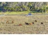 190 Bungundarra Road, Bungundarra, Qld 4703-Image