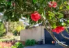 191 Georges River Road, Kentlyn, NSW 2560-Image