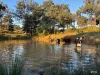 191 Hamilton Road, Nanango, Qld 4615-Image