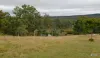 191 Hamilton Road, Nanango, Qld 4615-Image