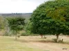 191 Hamilton Road, Nanango, Qld 4615-Image