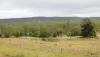 191 Hamilton Road, Nanango, Qld 4615-Image