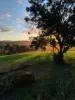 1925 Willina Road, Bunyah, NSW 2429-Image