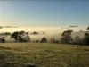 1925 Willina Road, Bunyah, NSW 2429-Image