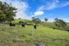 1925 Willina Road, Bunyah, NSW 2429-Image