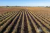 193 Comley Road, Barmera, SA 5345-Image