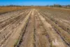193 Comley Road, Barmera, SA 5345-Image