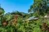 193 Hidden Valley Road, Eungella, NSW 2484-Image