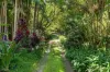 193 Hidden Valley Road, Eungella, NSW 2484-Image