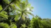193 Hidden Valley Road, Eungella, NSW 2484-Image