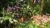 193 Hidden Valley Road, Eungella, NSW 2484-Image