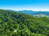 193 Hidden Valley Road, Eungella, NSW 2484-Image
