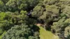 193 Hogan Road, Tarzali, Qld 4885-Image