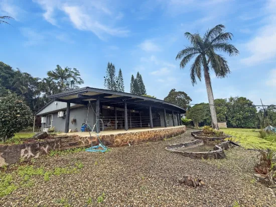 193 Lake Drive, Lake Eacham, Qld 4884