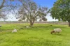 194 Kemps Road, Katunga, Vic 3640-Image