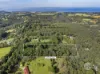 194 Point Leo Road, Red Hill South, Vic 3937-Image