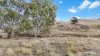 1948 Nareen Road, Nareen, Vic 3315-Image