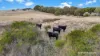 1948 Nareen Road, Nareen, Vic 3315-Image