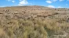1948 Nareen Road, Nareen, Vic 3315-Image