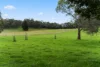 195 Boyle Swamp Road, Mylor, SA 5153-Image