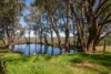 195 Boyle Swamp Road, Mylor, SA 5153-Image