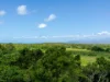 195 Cape Kimberley Road, Daintree, Qld 4873-Image