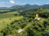 195 Cape Kimberley Road, Daintree, Qld 4873-Image
