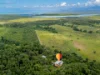 195 Cape Kimberley Road, Daintree, Qld 4873-Image