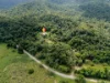 195 Cape Kimberley Road, Daintree, Qld 4873-Image