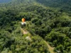 195 Cape Kimberley Road, Daintree, Qld 4873-Image