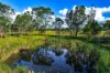 195 King Street, Rossmore, NSW 2557-Image
