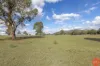 196 Torryburn Road, Torryburn, NSW 2421-Image