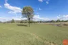 196 Torryburn Road, Torryburn, NSW 2421-Image