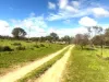 196 Wilson Street, Meckering, WA 6405-Image