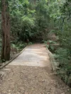 1967 Kalang Road, Kalang, NSW 2454-Image