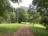 1967 Kalang Road, Kalang, NSW 2454-Image