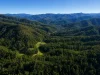 1967 Kalang Road, Kalang, NSW 2454-Image